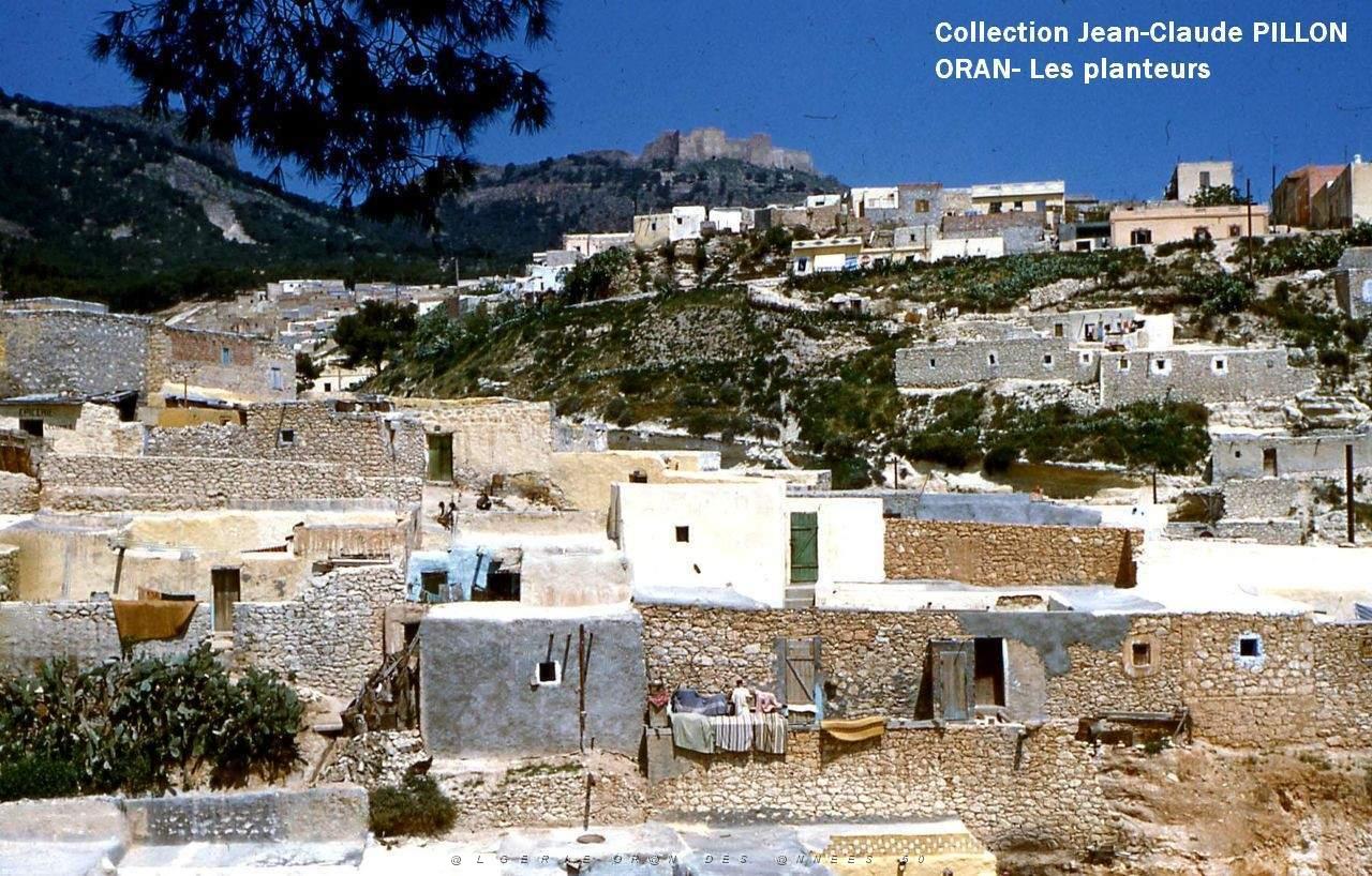 ORAN DOUAR-DES-PLANTEURS.jpg
